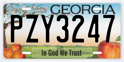 GA license plate PZY3247