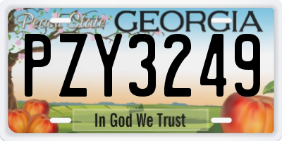 GA license plate PZY3249
