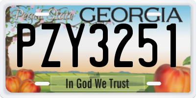 GA license plate PZY3251
