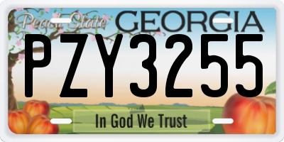 GA license plate PZY3255