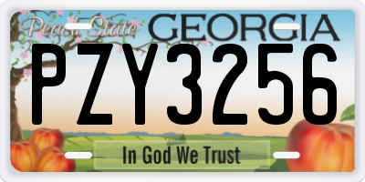 GA license plate PZY3256