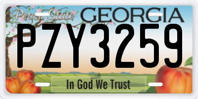 GA license plate PZY3259