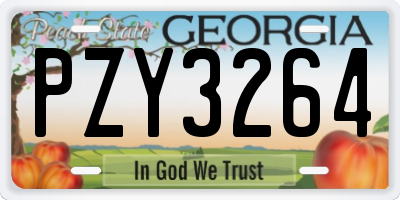 GA license plate PZY3264