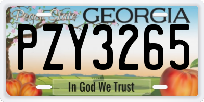 GA license plate PZY3265