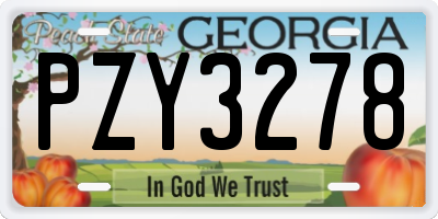 GA license plate PZY3278