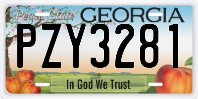GA license plate PZY3281