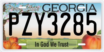 GA license plate PZY3285