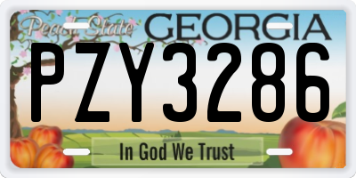 GA license plate PZY3286