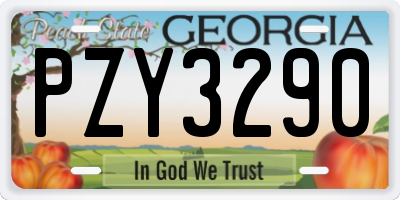 GA license plate PZY3290