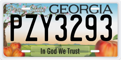GA license plate PZY3293