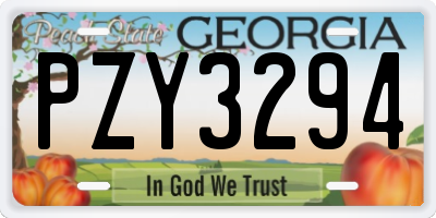 GA license plate PZY3294