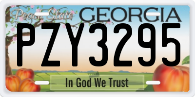 GA license plate PZY3295