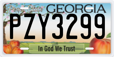 GA license plate PZY3299