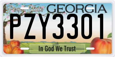 GA license plate PZY3301
