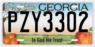 GA license plate PZY3302