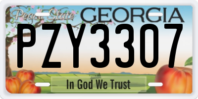GA license plate PZY3307