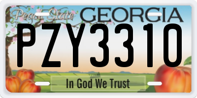 GA license plate PZY3310