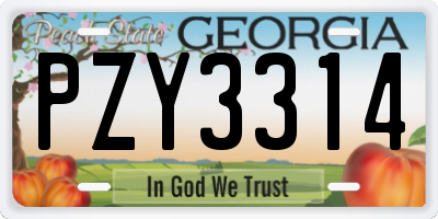 GA license plate PZY3314