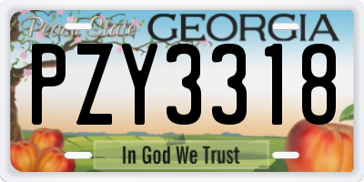 GA license plate PZY3318