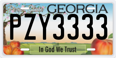 GA license plate PZY3333