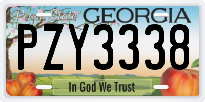 GA license plate PZY3338