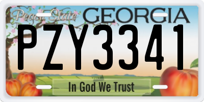 GA license plate PZY3341