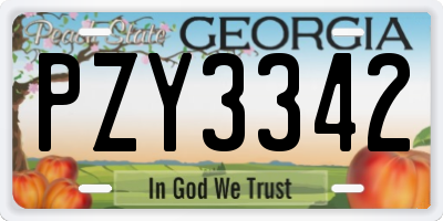 GA license plate PZY3342