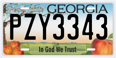 GA license plate PZY3343