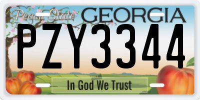 GA license plate PZY3344