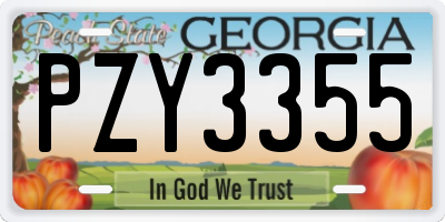 GA license plate PZY3355