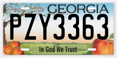 GA license plate PZY3363