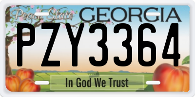 GA license plate PZY3364