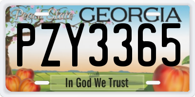 GA license plate PZY3365