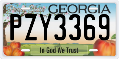GA license plate PZY3369