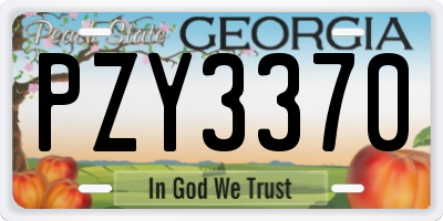 GA license plate PZY3370