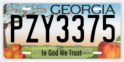 GA license plate PZY3375