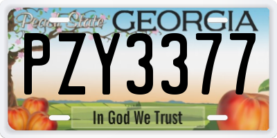 GA license plate PZY3377