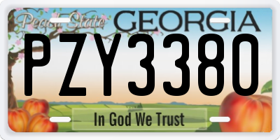 GA license plate PZY3380