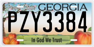 GA license plate PZY3384