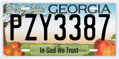 GA license plate PZY3387