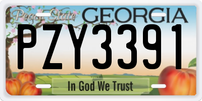 GA license plate PZY3391