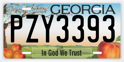 GA license plate PZY3393