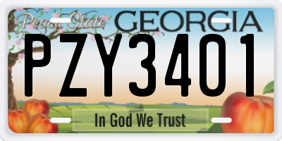GA license plate PZY3401