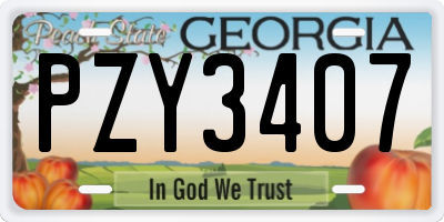 GA license plate PZY3407