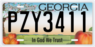 GA license plate PZY3411