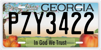 GA license plate PZY3422