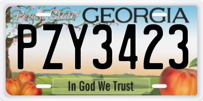 GA license plate PZY3423