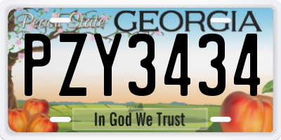 GA license plate PZY3434