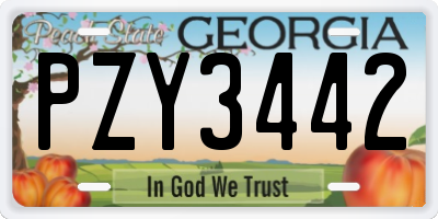 GA license plate PZY3442