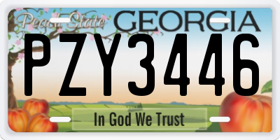 GA license plate PZY3446